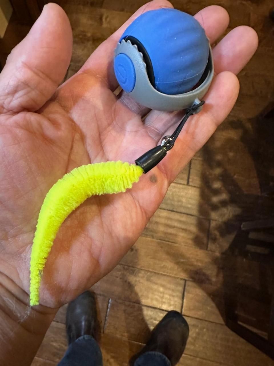 CoreLush™ Rolling Ball For Cats & Dogs